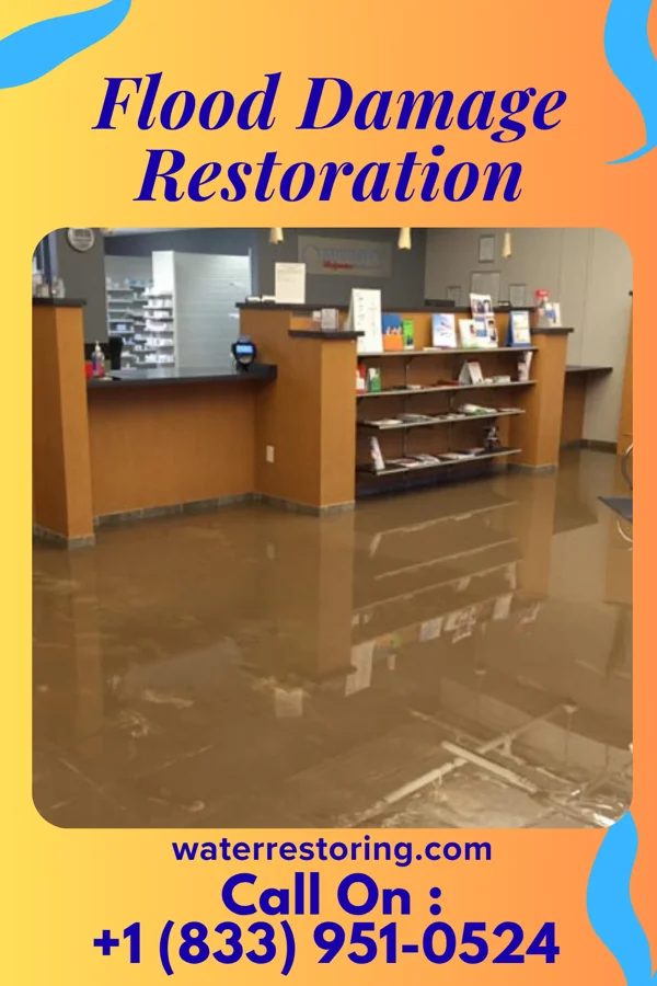 Flood Damage Restoration in Dexter, MN